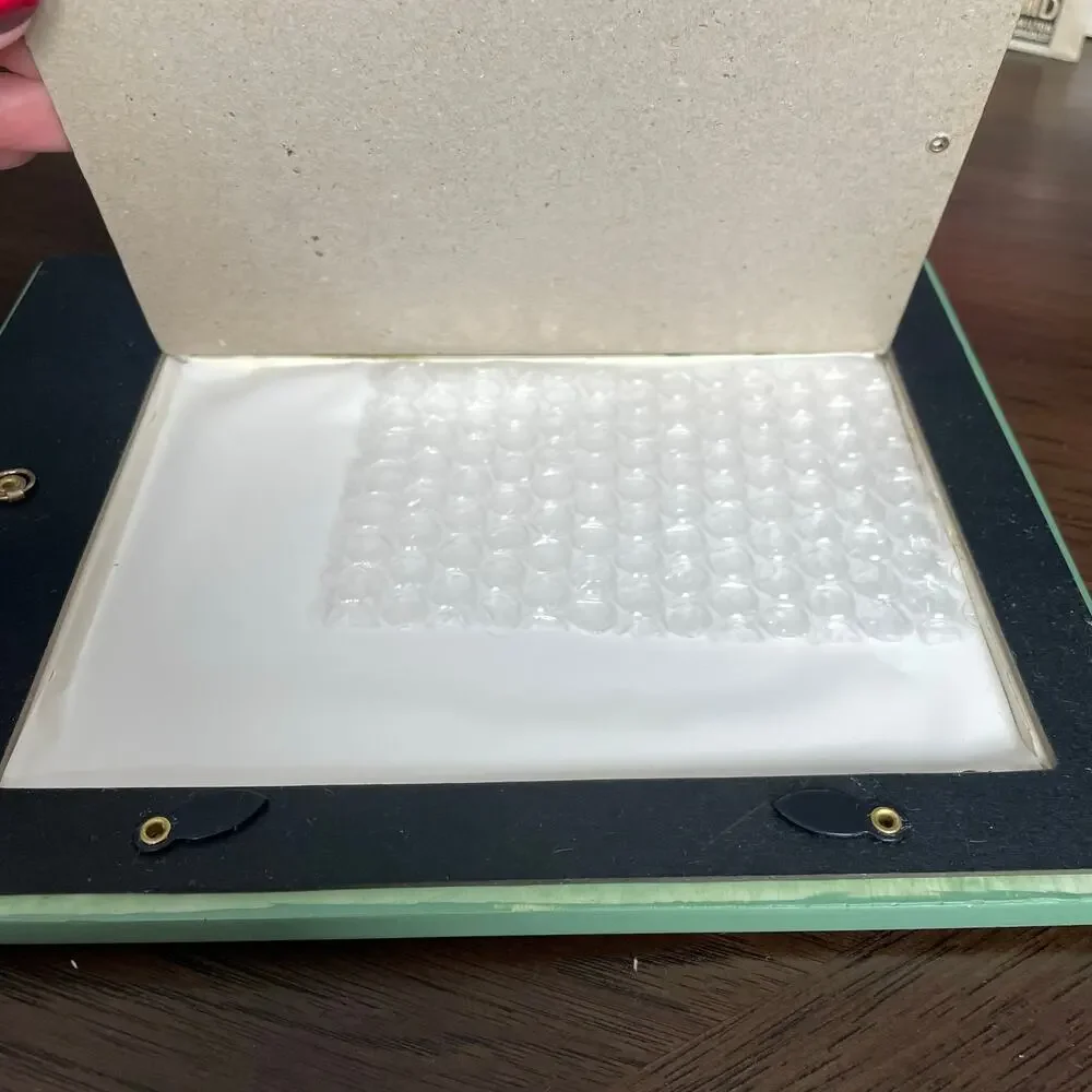 Pfaltzgraff Dragonfly Picture Frame 5x7 Vtg 1999 Burnes of Boston Photo Holder